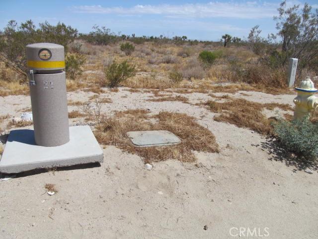 0 Buttonwood, Phelan, California 92371
