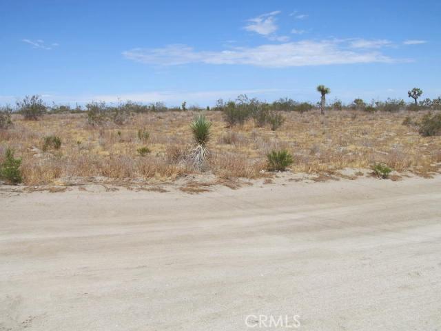 0 Buttonwood, Phelan, California 92371