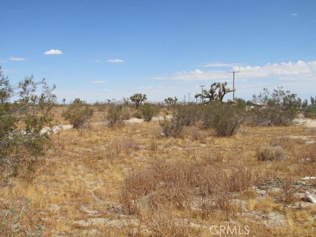 0 Buttonwood, Phelan, California 92371
