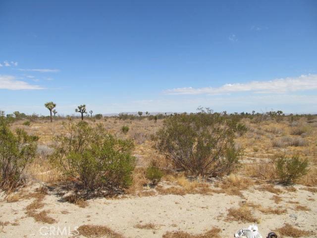 0 Buttonwood, Phelan, California 92371