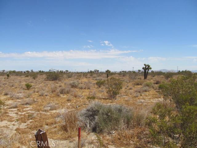 0 Buttonwood, Phelan, California 92371