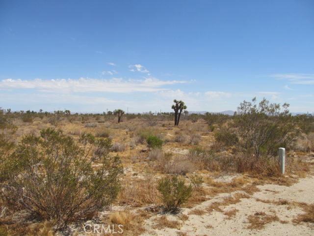 0 Buttonwood, Phelan, California 92371