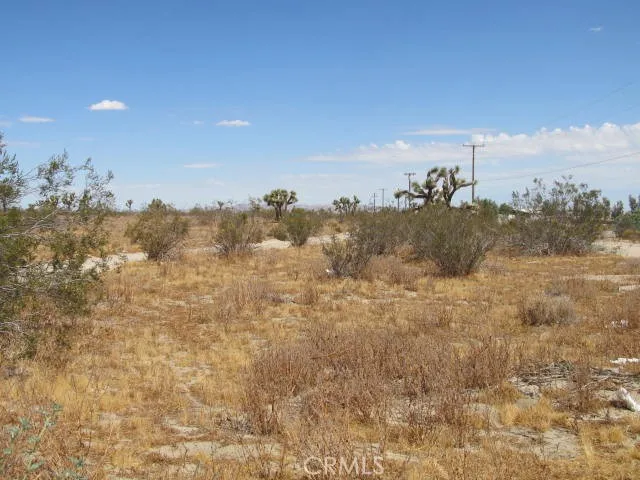 2 Buttonwood, Phelan, California 92371