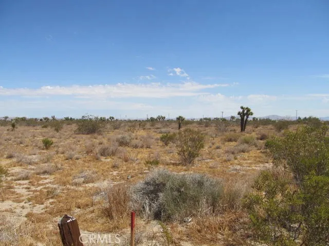 2 Buttonwood, Phelan, California 92371