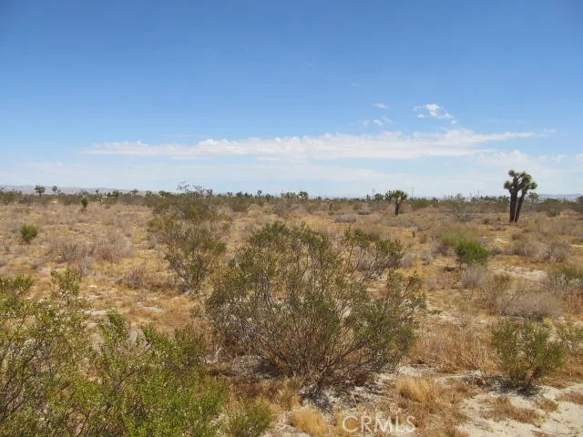 2 Buttonwood, Phelan, California 92371