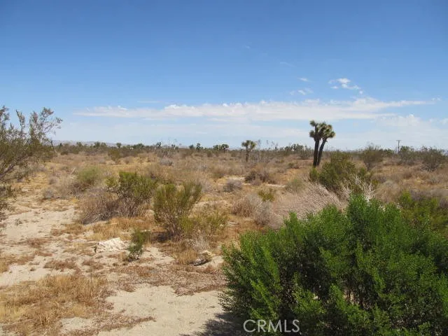 2 Buttonwood, Phelan, California 92371