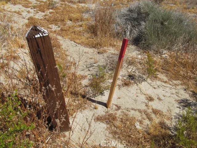 2 Buttonwood, Phelan, California 92371