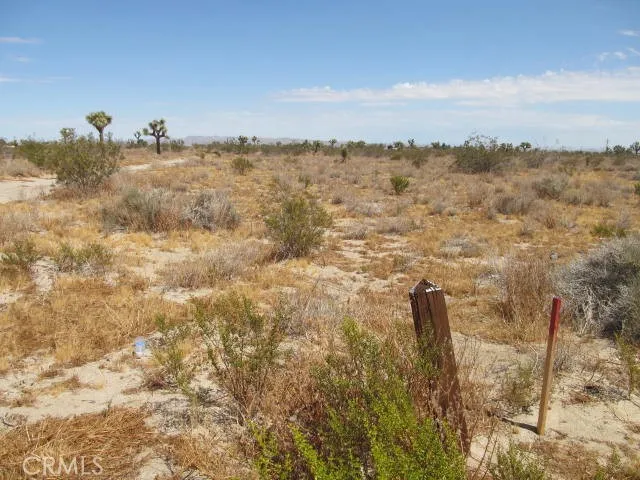 2 Buttonwood, Phelan, California 92371
