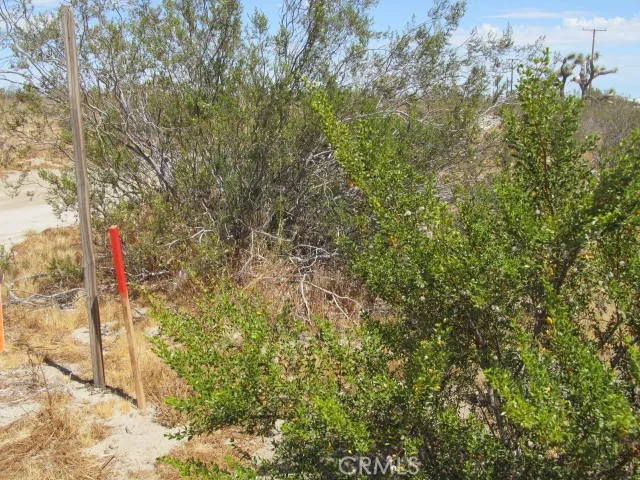 2 Buttonwood, Phelan, California 92371