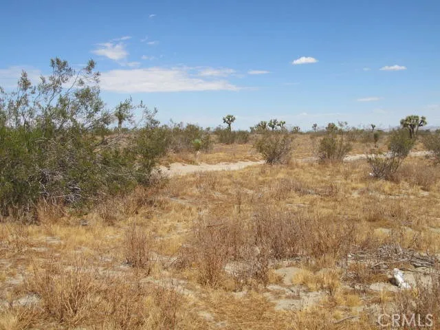 2 Buttonwood, Phelan, California 92371