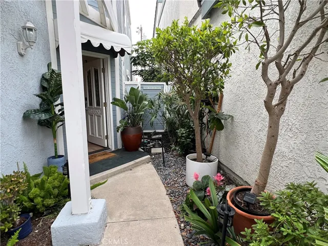 Entry to front door with beautiful trees