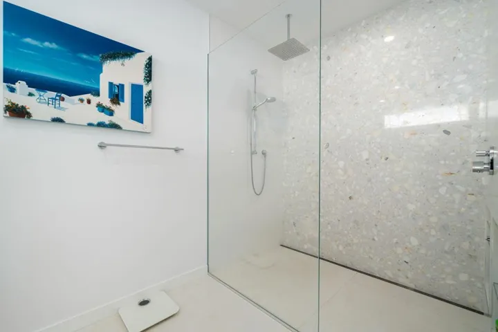 Primary Bedroom Bath Walk-in Shower