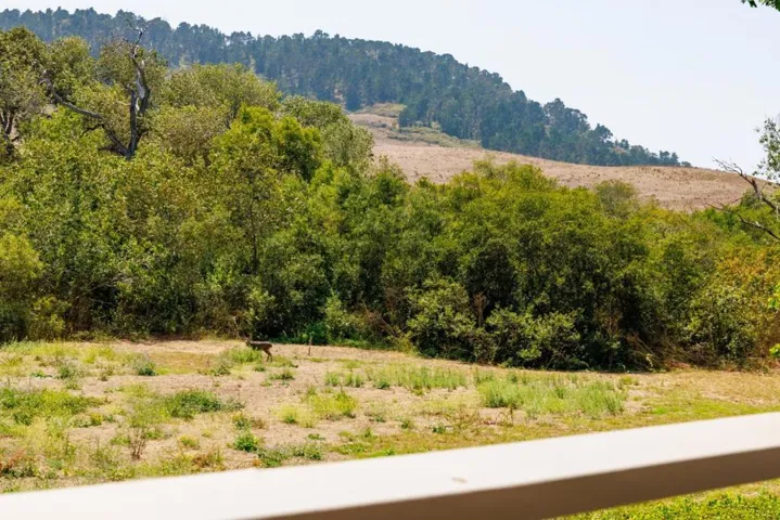 3850 Rio Road Unit 54, Carmel, California 93923