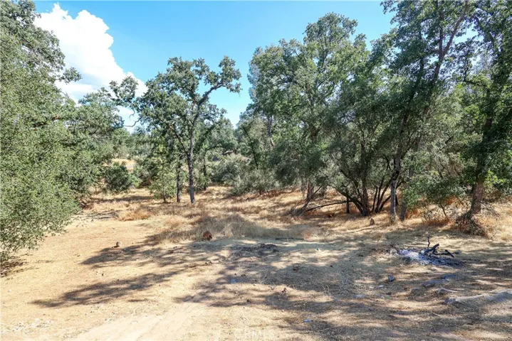 3893 Owl Creek Road, Mariposa, California 95338