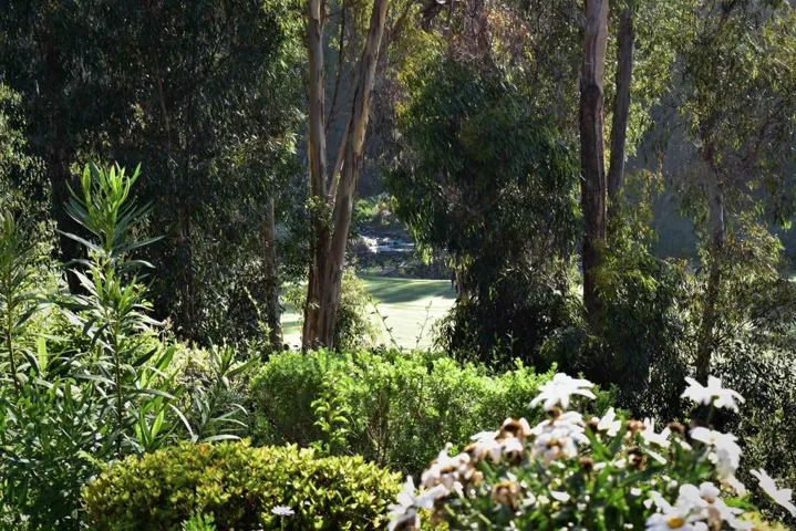 7210 Aviara Drive, Carlsbad, California 92011