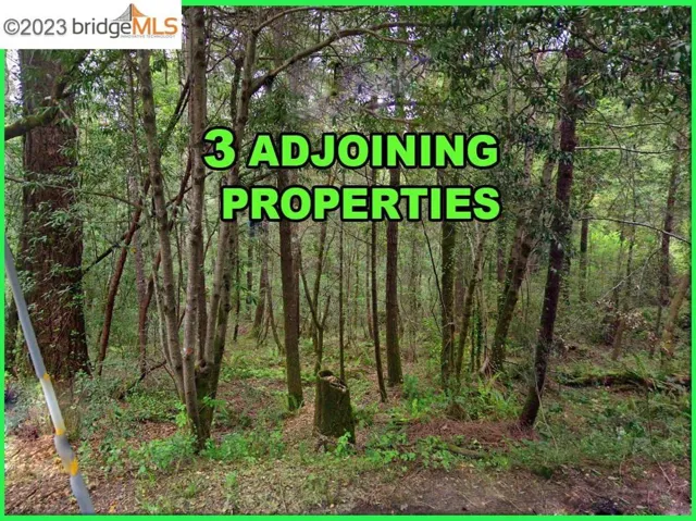 6060 Old Austin Creek Rd, Cazadero, California 95421