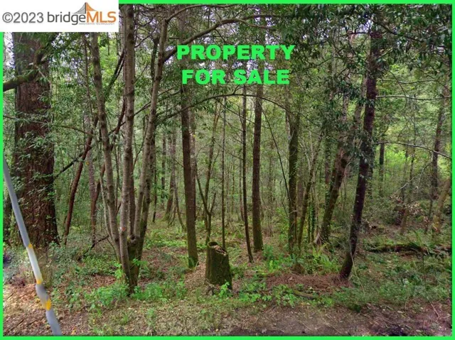 6060 Old Austin Creek Rd, Cazadero, California 95421