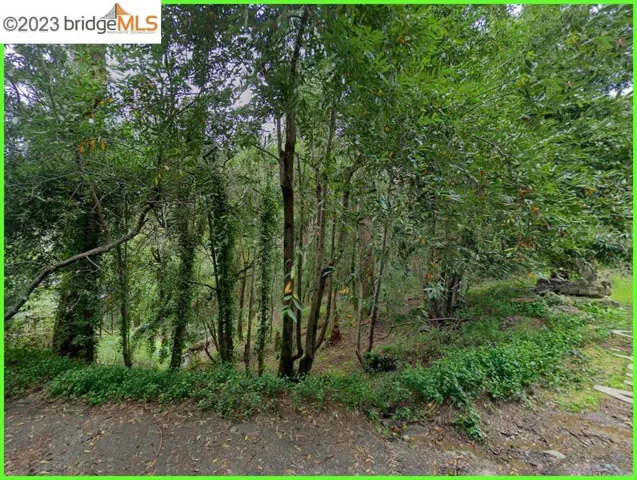 6080 Austin Creek Rd, Cazadero, California 95421