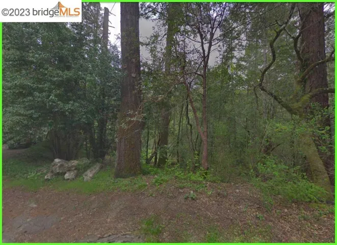 6080 Austin Creek Rd, Cazadero, California 95421