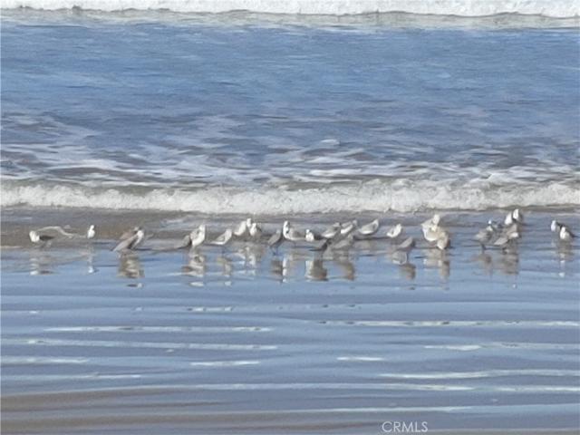 1256 Strand Way Unit 3, Oceano, California 93445