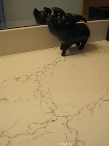 CHECK OUT THE VEINING IN THE QUARTZ COUNTERS