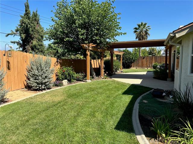 GREEN GRASS FOR THE KIDS AND PETS TO PLAY!