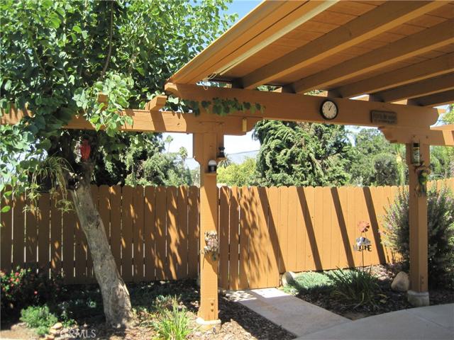 PATIO COVER AND SHADE TREE