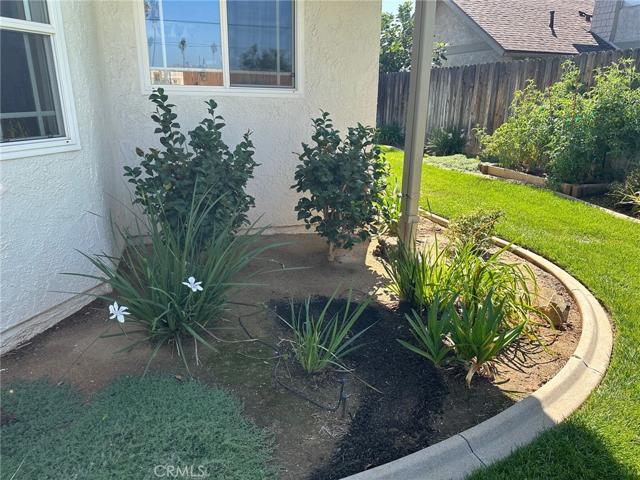 EASY CARE YARD!