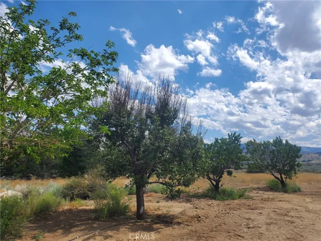 159 Spring Canyon Drive, Outside Area (Inside Ca), California 96120