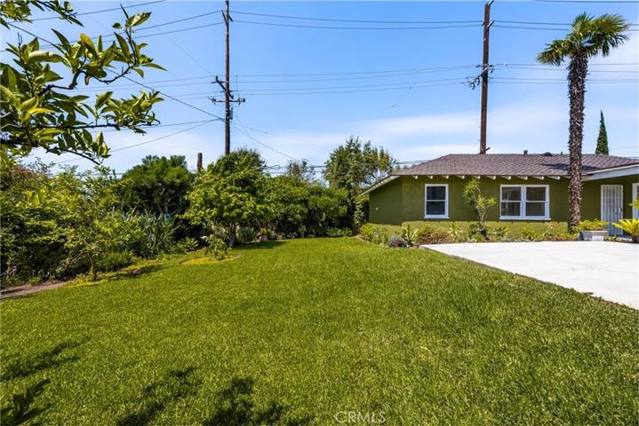 Large backyard