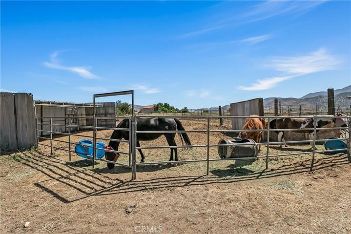 35508 Wyse Road, Agua Dulce, California 91390