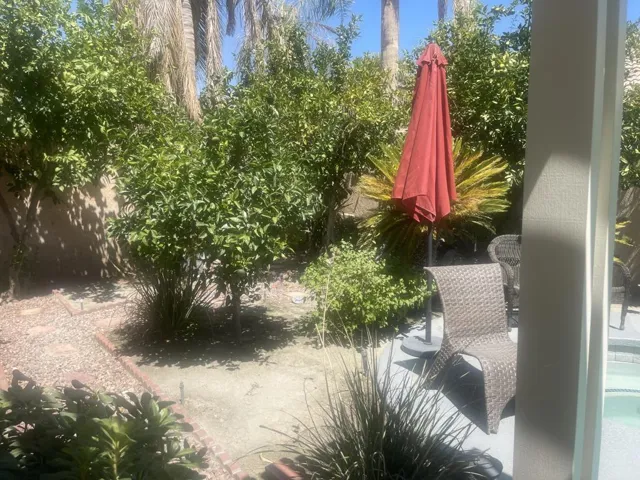 Desert Fox  Bushes and Trees
