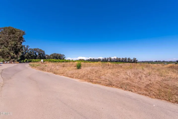 Sand Canyon 16 New