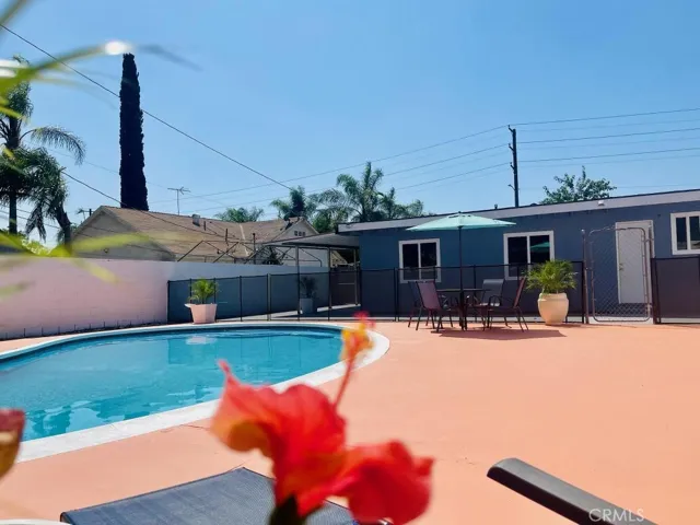 Pool/back yard view
