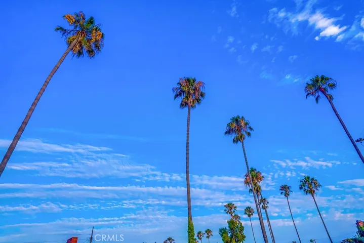 1902 W 26th Street, San Pedro, California 90732
