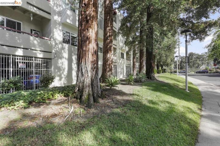 3173 Wayside Plz Unit 218, Walnut Creek, California 94597