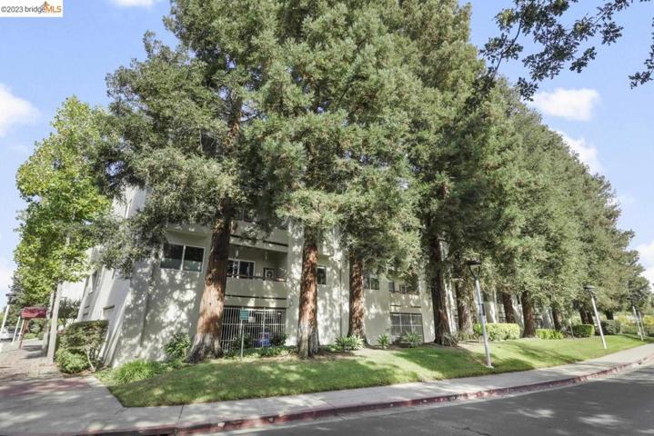 3173 Wayside Plz Unit 218, Walnut Creek, California 94597