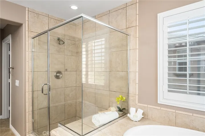 Master Bathroom shower