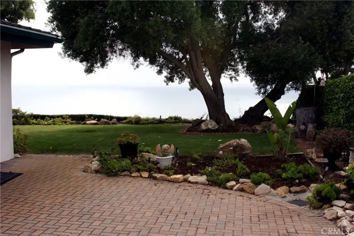 From Patio