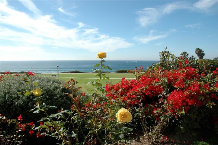 View from Family room..foliage provides privacy and yet view of ocean is stunning.