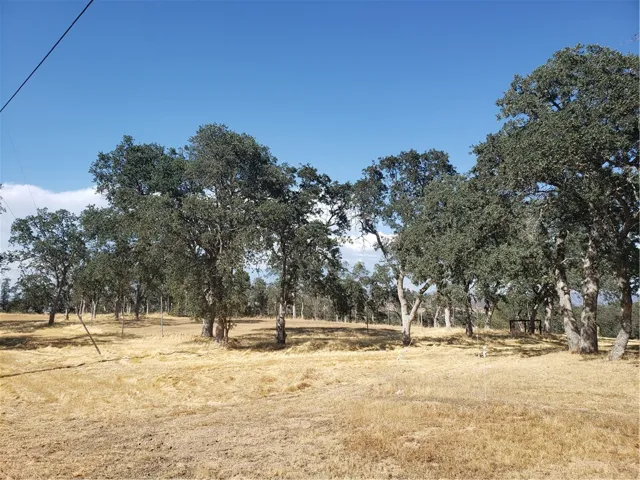 9520 Banderilla Drive, La Grange, California 95329