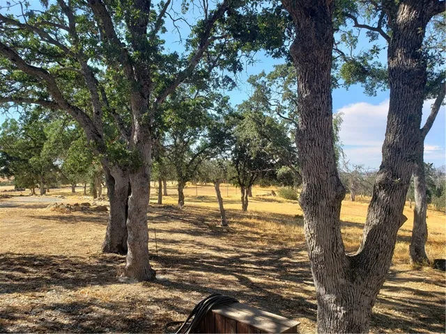 9520 Banderilla Drive, La Grange, California 95329
