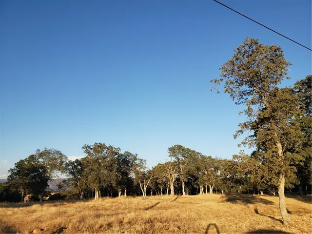 9520 Banderilla Drive, La Grange, California 95329