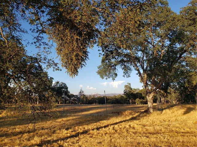 9520 Banderilla Drive, La Grange, California 95329