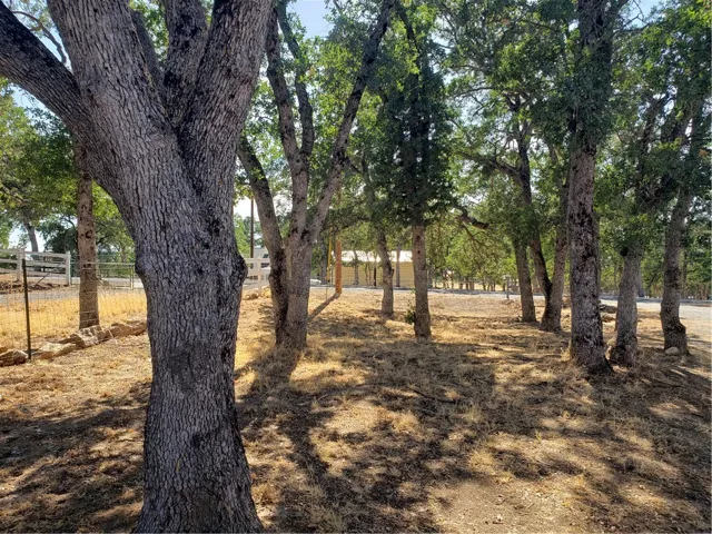 9520 Banderilla Drive, La Grange, California 95329