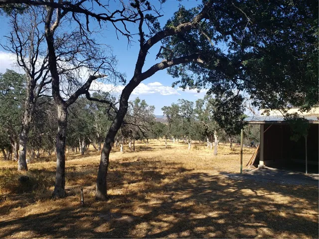 9520 Banderilla Drive, La Grange, California 95329