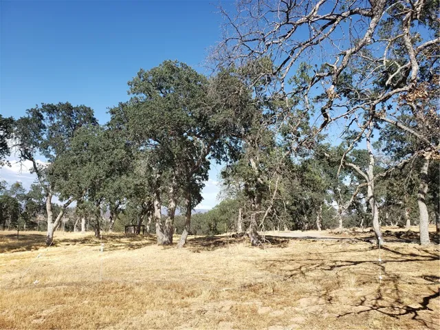 9520 Banderilla Drive, La Grange, California 95329