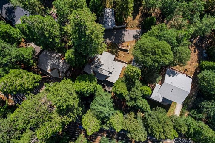 21969 Crest Forest Drive, Cedarpines Park, California 92322