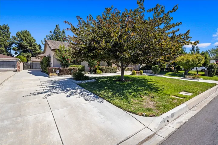 2114 S 8th Avenue, Arcadia, California 91006