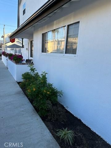 New plants on Lake Ave side